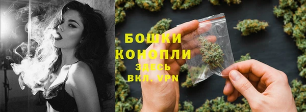 стаф Абаза