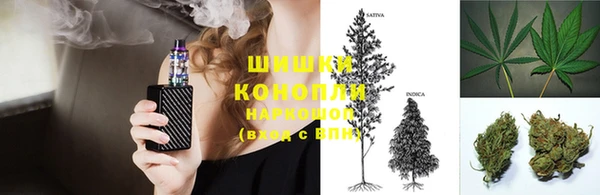 прущие грибы Алзамай