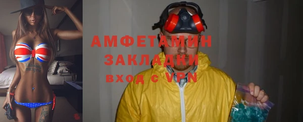 прущие грибы Алзамай