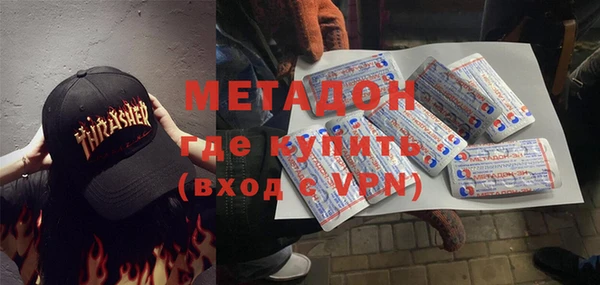 прущие грибы Алзамай