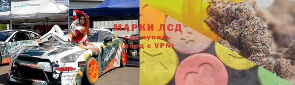 прущие грибы Алзамай