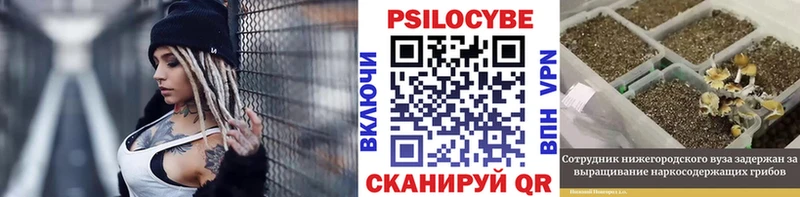 как найти наркотики  Грязи  Галлюциногенные грибы Cubensis 
